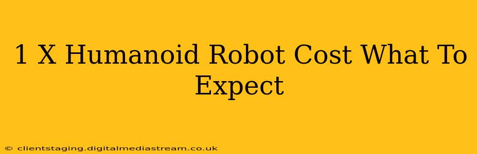 1 X Humanoid Robot Cost What To Expect