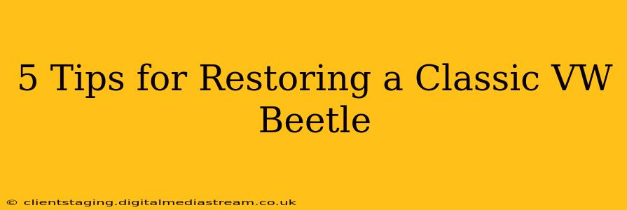 5 Tips for Restoring a Classic VW Beetle