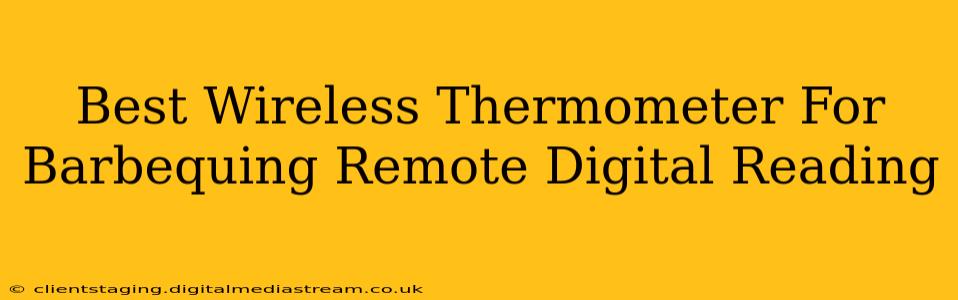 Best Wireless Thermometer For Barbequing Remote Digital Reading