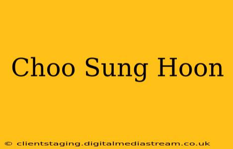 Choo Sung Hoon