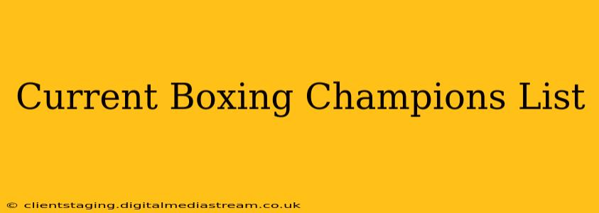 Current Boxing Champions List