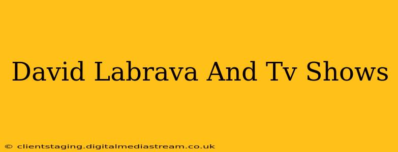 David Labrava And Tv Shows