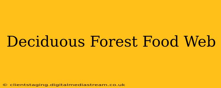 Deciduous Forest Food Web