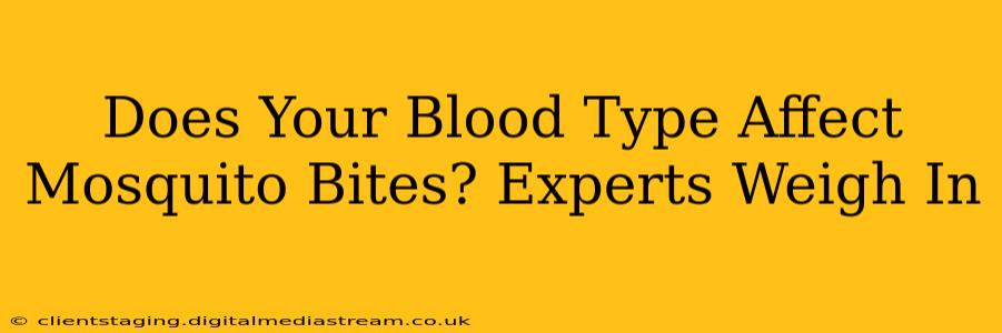 Does Your Blood Type Affect Mosquito Bites? Experts Weigh In