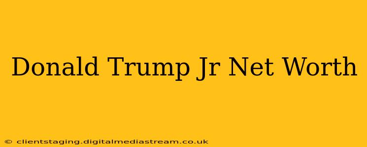 Donald Trump Jr Net Worth