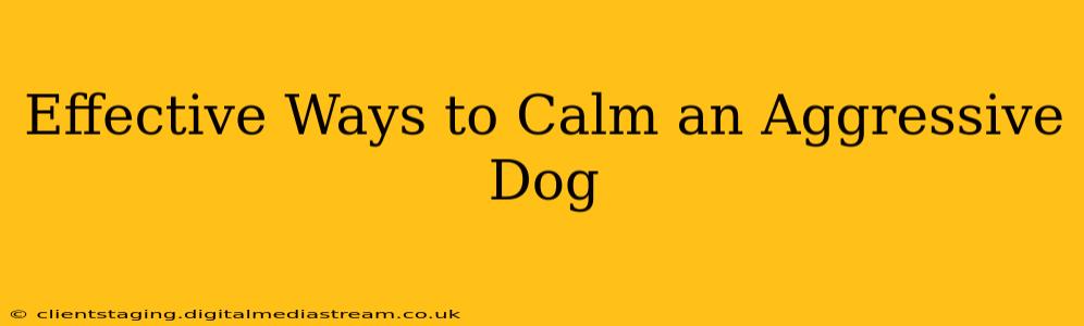 Effective Ways to Calm an Aggressive Dog