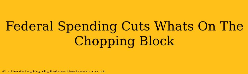 Federal Spending Cuts Whats On The Chopping Block