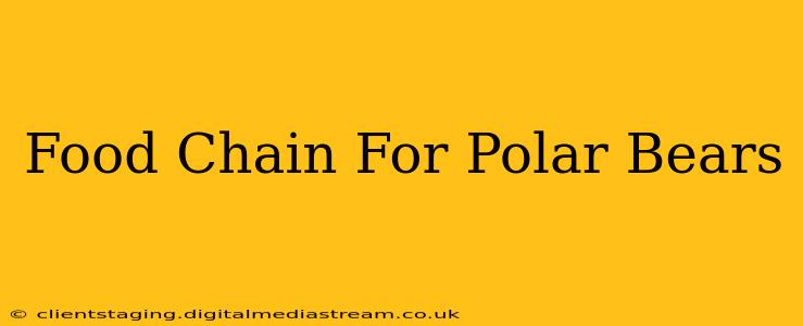 Food Chain For Polar Bears