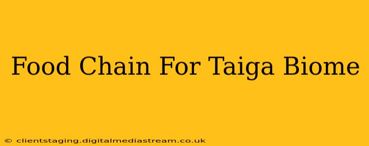 Food Chain For Taiga Biome