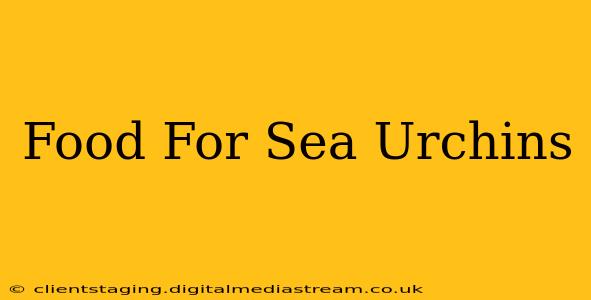 Food For Sea Urchins