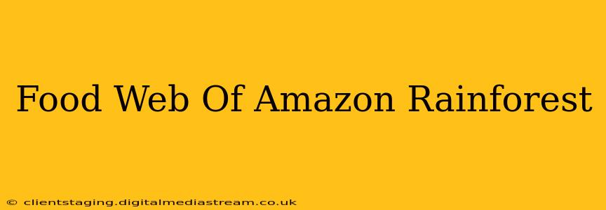 Food Web Of Amazon Rainforest