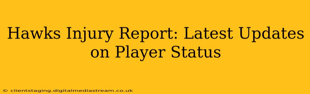 Hawks Injury Report: Latest Updates on Player Status