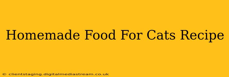 Homemade Food For Cats Recipe