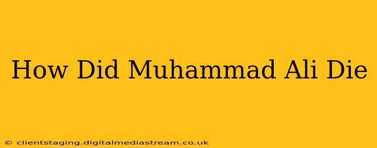 How Did Muhammad Ali Die