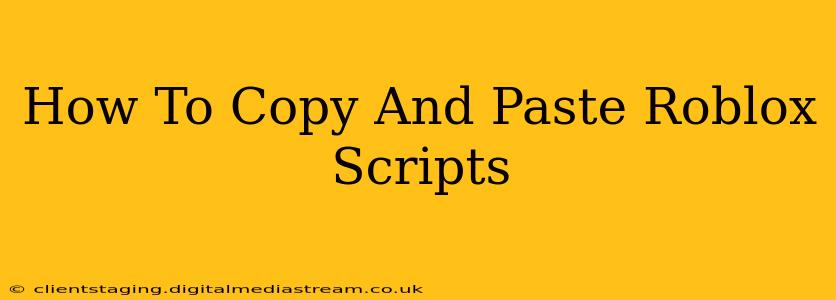 How To Copy And Paste Roblox Scripts