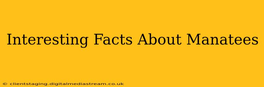 Interesting Facts About Manatees