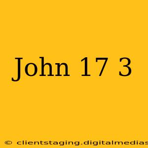John 17 3