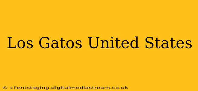 Los Gatos United States