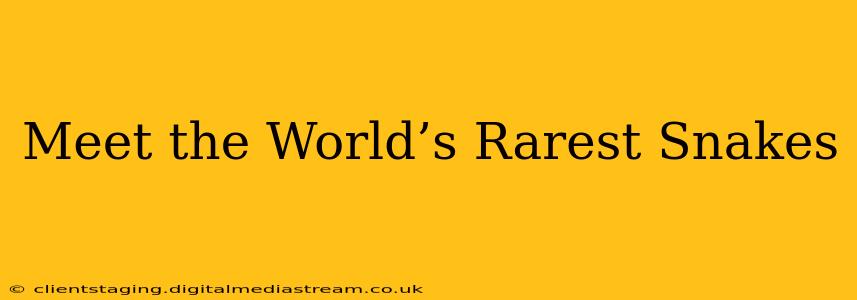 Meet the World’s Rarest Snakes