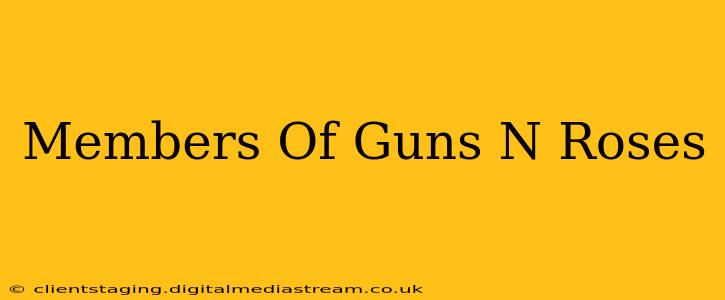 Members Of Guns N Roses