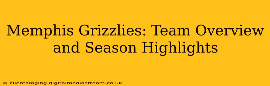 Memphis Grizzlies: Team Overview and Season Highlights