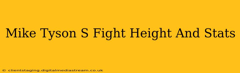 Mike Tyson S Fight Height And Stats