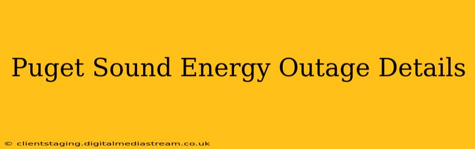 Puget Sound Energy Outage Details