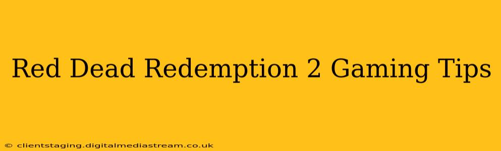 Red Dead Redemption 2 Gaming Tips