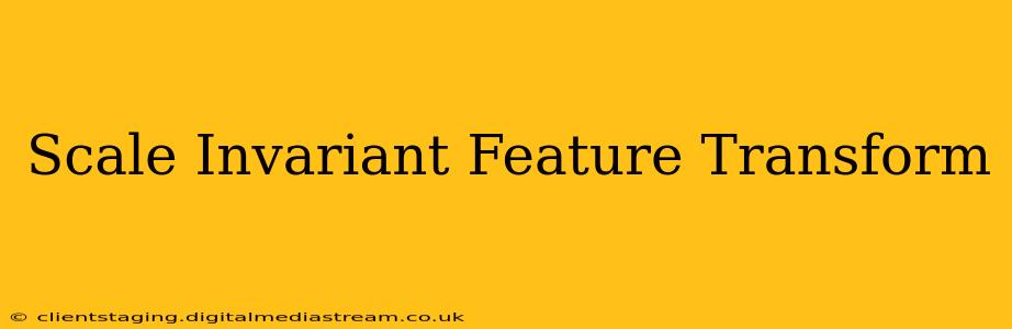 Scale Invariant Feature Transform