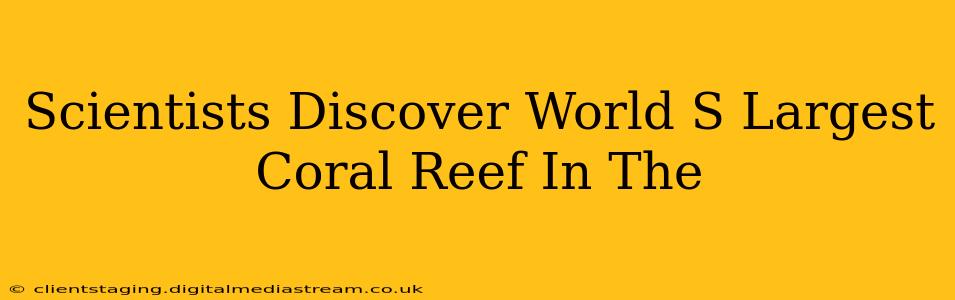 Scientists Discover World S Largest Coral Reef In The