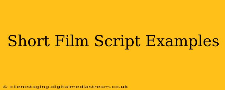 Short Film Script Examples