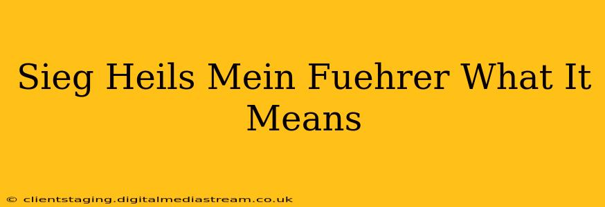 Sieg Heils Mein Fuehrer What It Means