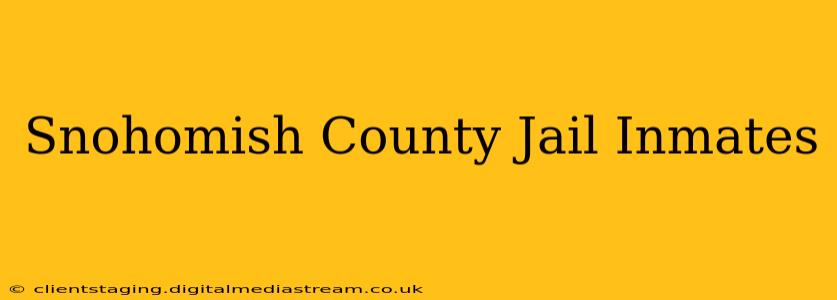 Snohomish County Jail Inmates