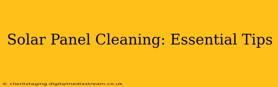 Solar Panel Cleaning: Essential Tips
