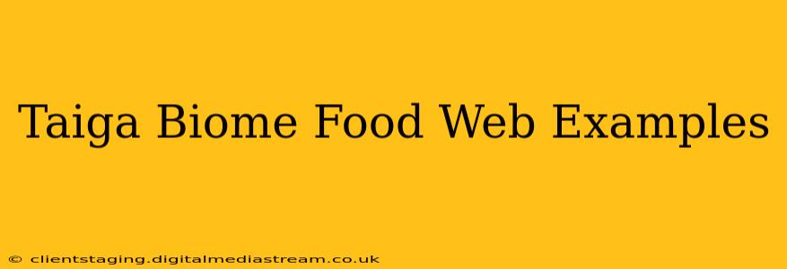 Taiga Biome Food Web Examples