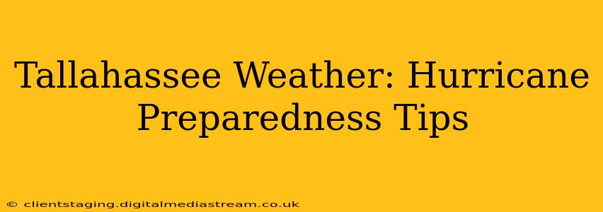 Tallahassee Weather: Hurricane Preparedness Tips