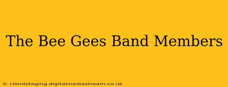 The Bee Gees Band Members