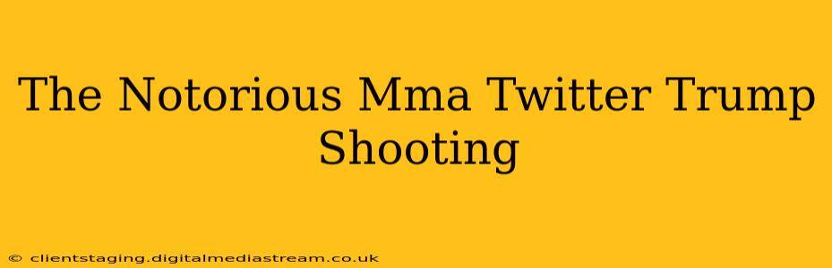 The Notorious Mma Twitter Trump Shooting
