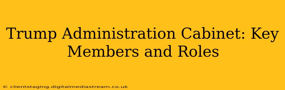 Trump Administration Cabinet: Key Members and Roles