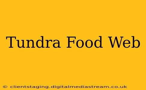 Tundra Food Web