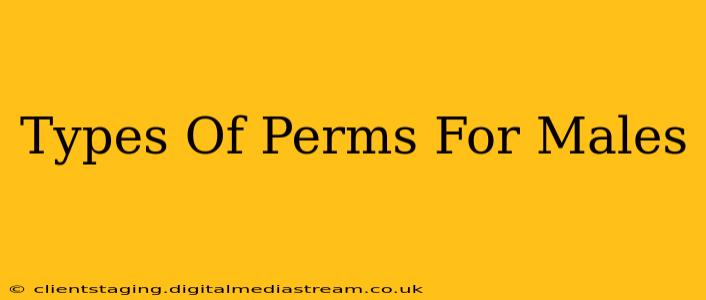 Types Of Perms For Males