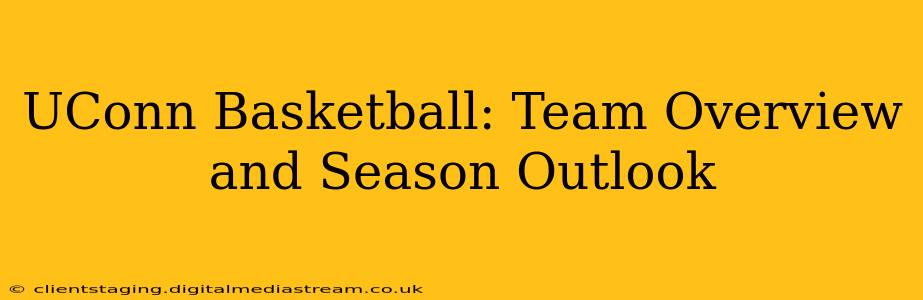 UConn Basketball: Team Overview and Season Outlook