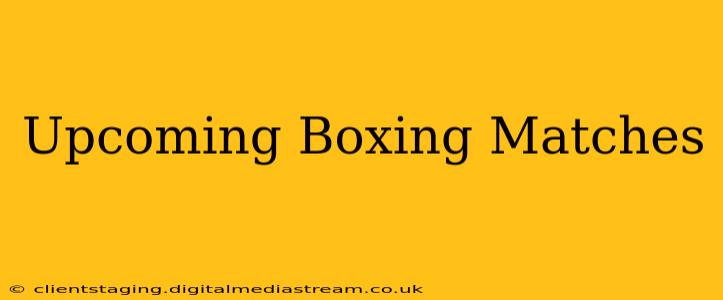 Upcoming Boxing Matches