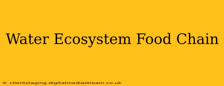 Water Ecosystem Food Chain