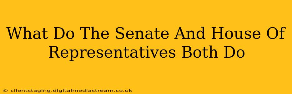 What Do The Senate And House Of Representatives Both Do