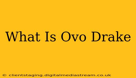 What Is Ovo Drake