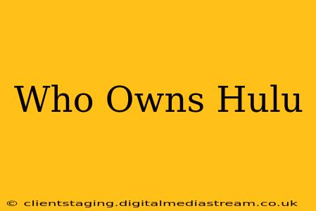 Who Owns Hulu