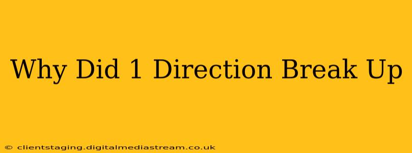 Why Did 1 Direction Break Up