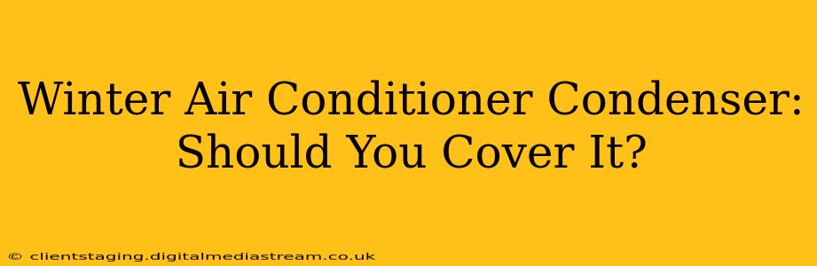 Winter Air Conditioner Condenser: Should You Cover It?