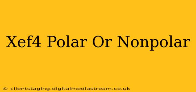 Xef4 Polar Or Nonpolar
